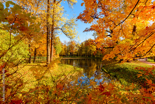 Autumn landscape in Alexander park, Pushkin, Saint Petersburg, Russia