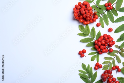 Fresh ripe rowan berries and green leaves on white background, flat lay. Space for text