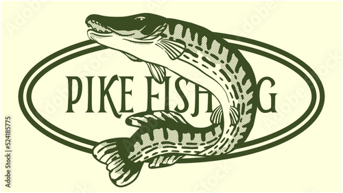 vector drawing illustration of jumping pike fish for fishing, outdoors, adventure and nature logo, t-shirt or label design.