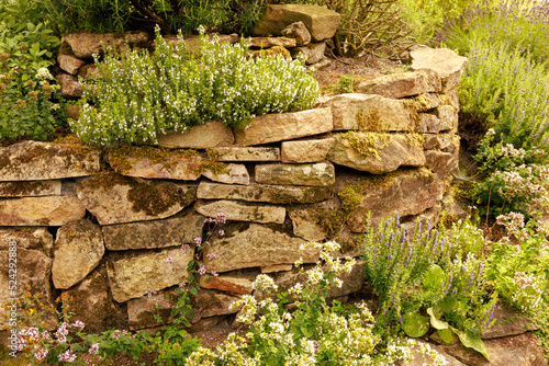 Trockenmauer im Garten