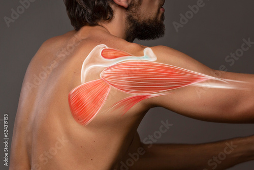 Anatomy shoulder and trapezius pain. Man view from back, back arm pain