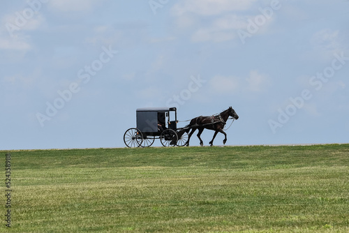 Amish buggy on the horizon