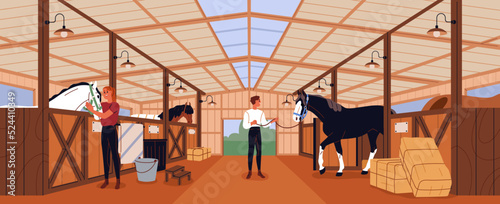 Equine stable for horses, stallions. Inside wood barn, stall. Horsemen people care about purebred animals in countryside paddock interior. Country ranch building panorama. Flat vector illustration