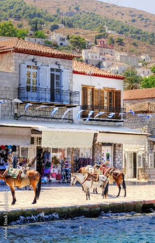 Donkeys and architecure at the port of Greek island, Hydra. They are the only means of transport on the island, no cars are allowed.