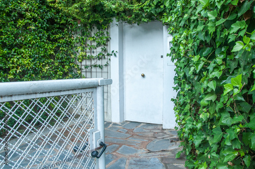 A classic vintage view of house entrance with a white door and surrounded by green climbing plants