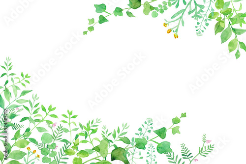 グリーンの草花の２隅装飾フレーム。水彩イラスト。（透過背景）