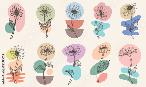 Flower boho aesthetic elements collection vector illustration