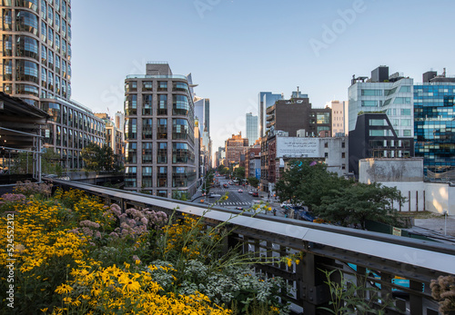 High Line views with flowers in foreground