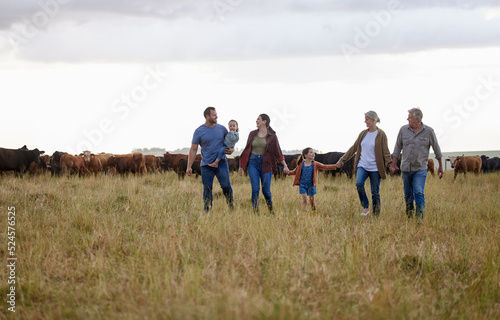 Farming, sustainability and family community on a farm walking together with cows in the background. Happy agriculture countryside group relax holding hands in a green sustainable field in nature