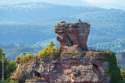 Ruine Drachenfels bei Busenberg, Pfälzerwald, Rheinland-Pfalz, Deutschland