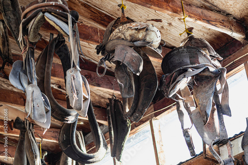 This is a digitally enhanced image of antique horse saddles and collars hanging from barn rafters with sunlight filtering through a transom window. 
