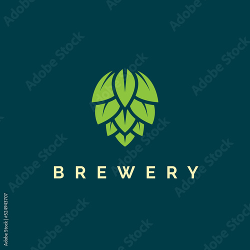 Hop icon vector beer cone pine illustration leaf art bud green decoration. Beer fresh hop logo icon isolated.