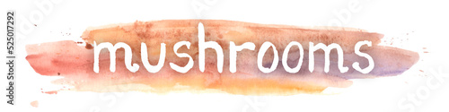 Mushrooms Word on orande watercolor splash High quality