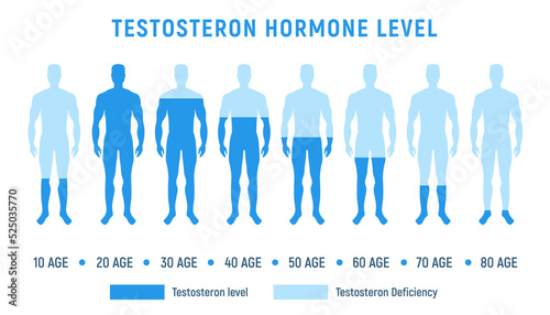 Testosterone level therapy hormone male balance science fertility illustration low level testosterone hormone level.