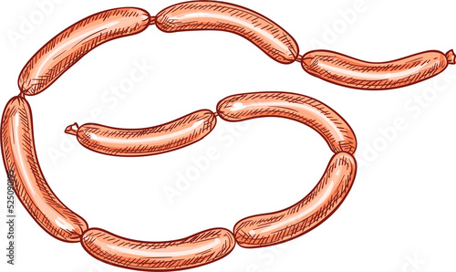 Sausages link or chain isolated butchery meat food