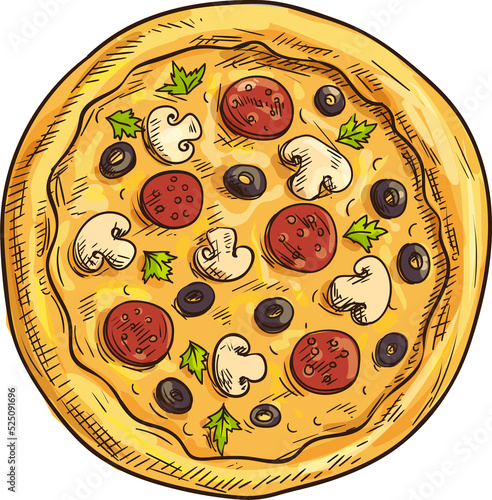 Round pizza with salami and vegetables isolated