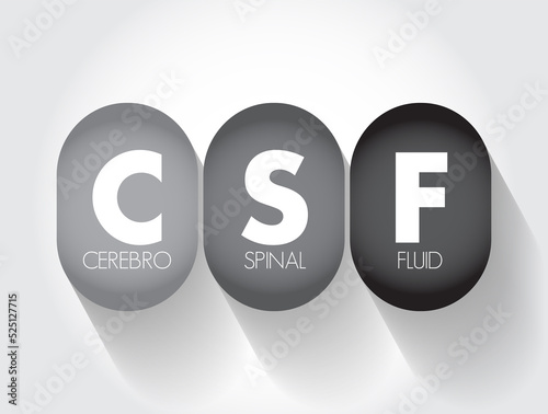 CSF Cerebrospinal Fluid - clear fluid that surrounds the brain and spinal cord, acronym text concept background