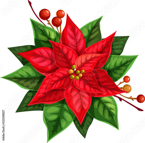Christmas flower poinsettia vector isolated icon