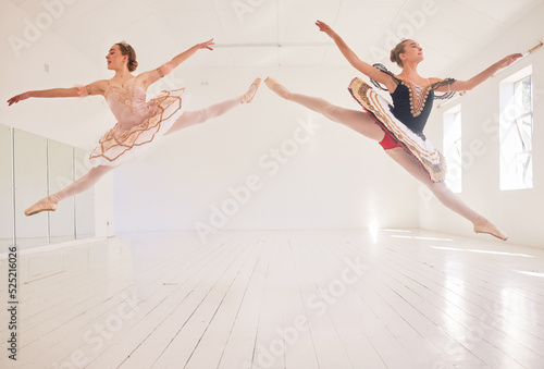 Jumping team of female ballerinas, leaping ballet girls or performers in traditional tutu dress costume in the studio. Young, active and fit professional dancers dancing in balloon mid air pose.