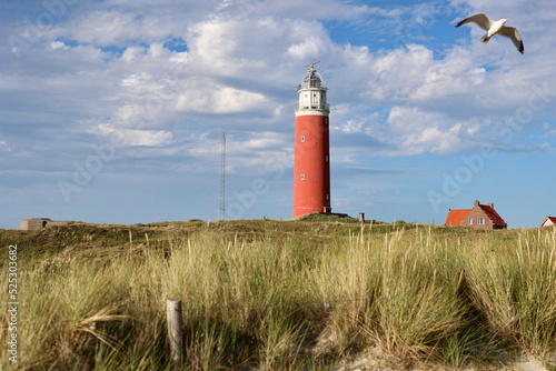 The lighthouse of the island of Texel in The Netherlands surrounded by tall sand dunes in beautiful sunlight.