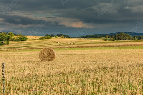 Bales of straw on an evening field in the Czech Republic. Agricultural landscape. Wheat harvest. Summer evening in the countryside. Storm clouds.