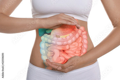 Closeup view of woman with illustration of abdominal organs on her belly against white background