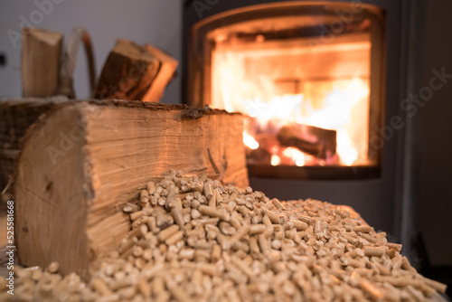 wood burning stove heating the house - choice between firewood or pellets 