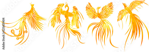 watercolor silhouette phoenix bird, set isolated, vector
