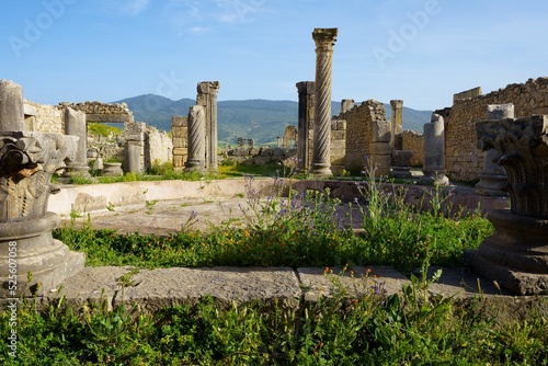 View of ruins of Volubilis is a partly excavated Berber-Roman city in Morocco
