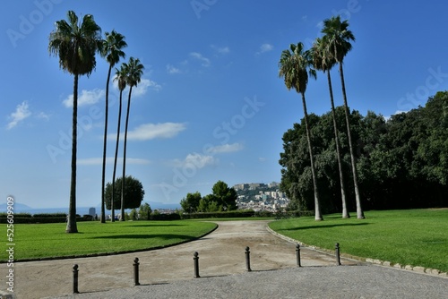 The Capodimonte wood in Naples, Italy.