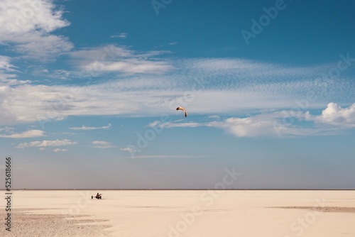 Kite Buggy on the beach of Texel Island, The Netherlands. 