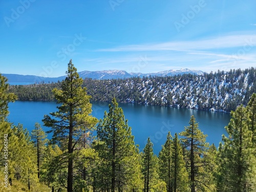 Aerial shot of Lake Tahoe surrounded by trees in California, US