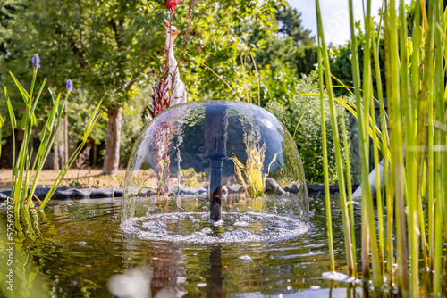 fontaine sur un bassin d'eau douce dans un jardin avec des plantes aquatiques
