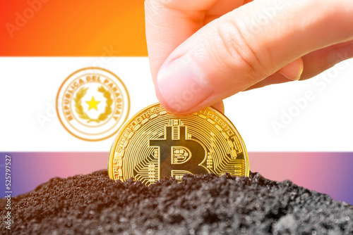 Legalization of bitcoin in Paraguay. Landing bitcoin in the ground against the background of the flag of Paraguay. Paraguay - investment in cryptocurrency. 