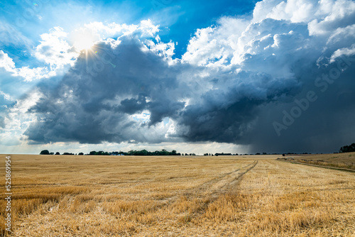 Formation de cumulonimbus d'orage au dessus d'un champ. Ciel très nuageux, arrivée de la pluie