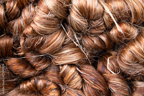 Thick Golden bundle of Wet raw jute fiber Texture Background