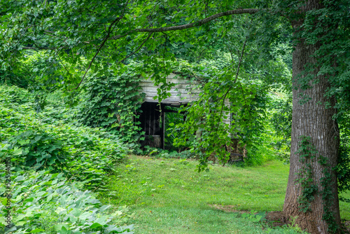 Abandoned garage overgrown by invasive kudzu vines.