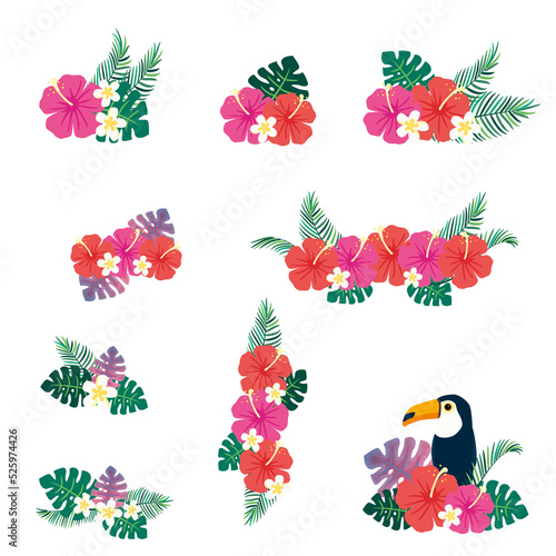 Tropical floral elements illustration set