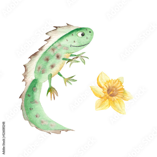 Cute smiling newt and narcissus isolated on white background. Watercolor hand drawn illustration. Perfect for kid illustrations, clothes prints, decals, stickers.