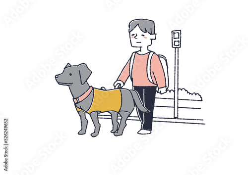 盲導犬と一緒に信号を渡る男性 障害者を思いやる周りの人々や社会づくり