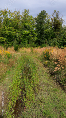 Rezerwat przyrody Jeziorko Daisy – utworzony w 1998 r. geologiczno-leśny rezerwat przyrody nieożywionej, wchodzący w skład Książańskiego Parku Krajobrazowego