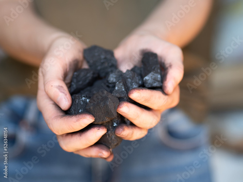 Węgiel - bryłki węgla w dłoniach
