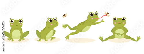 Cartoon cute hunting frog, amphibian carnivore catch insects. Green water animal food chain, hungry frog flat vector illustration. Frog nutrition process