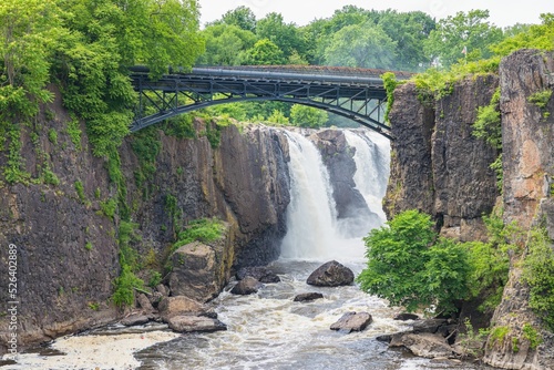 Gorgeous view of lush green trees surrounding a bridge at the Paterson Great Falls National Park