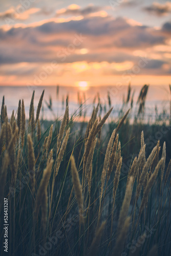 Evening at the danish coast at Blokhus. High quality photo