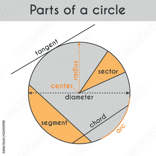 Circle lines, parts. With lines on the same circle; tangent, chord, arc, diameter, radius, sector, segment. Mathematics, trigonometry, geometry. Vector illustration isolated on white background.