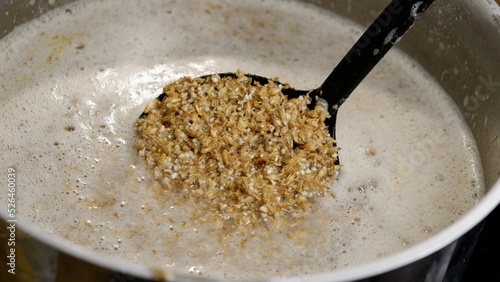 Mashed malt during the beer brewing process