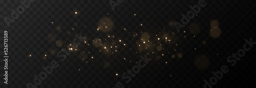 Vector magic glow. Sparkling light, sparkle dust png. Sparkling magical dust. Christmas light.