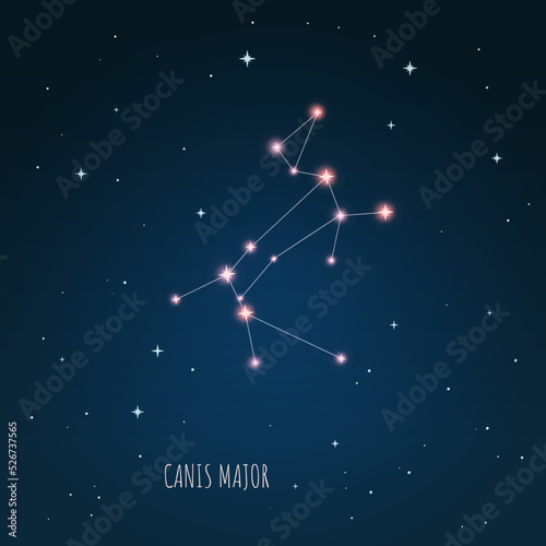 The constellation "Canis Major" star in the night sky. Astronomical Big dog. Cluster of realistic stars. Constellation scheme collection 