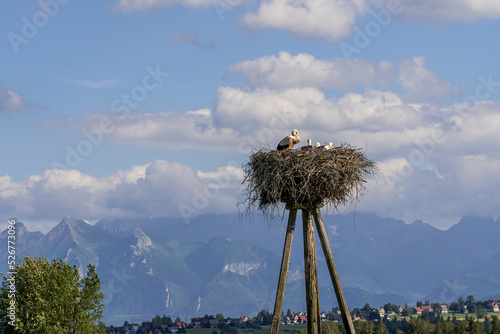 tatry, karpaty, polska, słowacja, góry , wschód słońca, zachód słońca, sunset, sunrise, pieniny